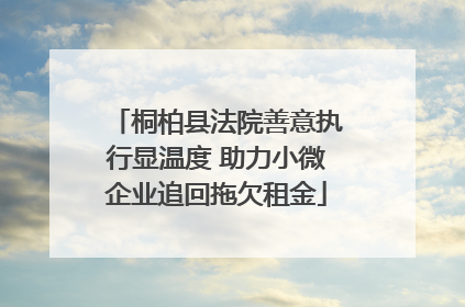 桐柏县法院善意执行显温度 助力小微企业追回拖欠租金