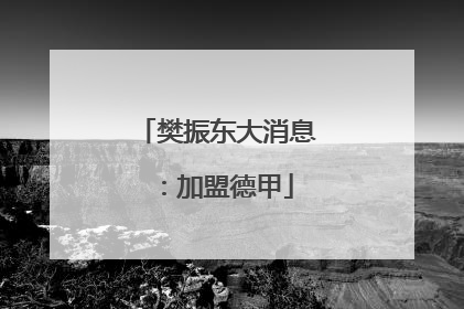 樊振东大消息：加盟德甲
