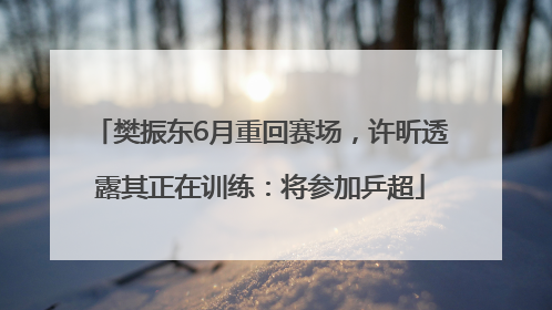 樊振东6月重回赛场，许昕透露其正在训练：将参加乒超