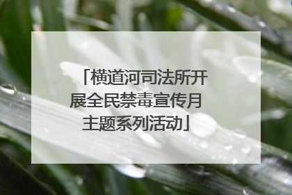 横道河司法所开展全民禁毒宣传月主题系列活动
