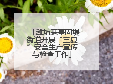 潍坊寒亭固堤街道开展“三夏”安全生产宣传与检查工作