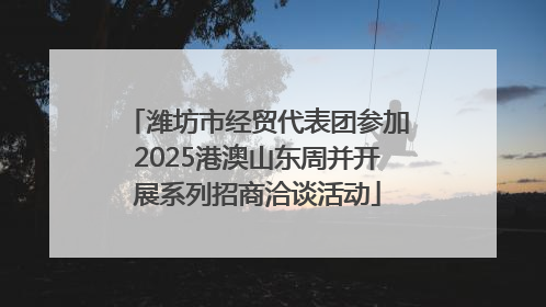 潍坊市经贸代表团参加2025港澳山东周并开展系列招商洽谈活动