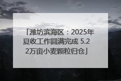 潍坊滨海区：2025年夏收工作圆满完成 5.22万亩小麦颗粒归仓