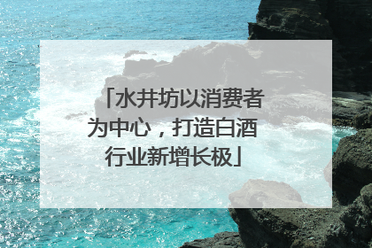 水井坊以消费者为中心，打造白酒行业新增长极
