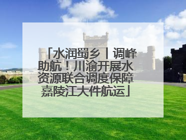 水润蜀乡丨调峰助航！川渝开展水资源联合调度保障嘉陵江大件航运