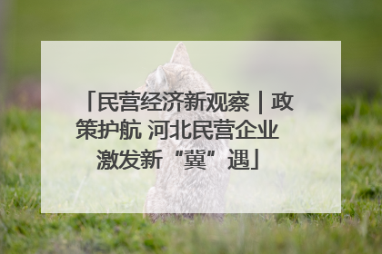 民营经济新观察｜政策护航 河北民营企业激发新“冀”遇