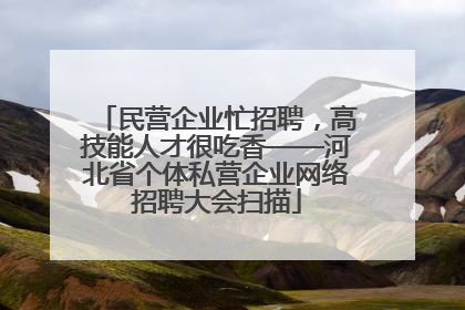 民营企业忙招聘，高技能人才很吃香——河北省个体私营企业网络招聘大会扫描