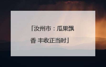汝州市：瓜果飘香 丰收正当时
