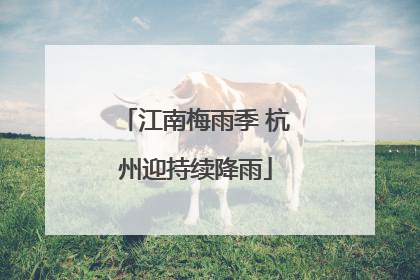 江南梅雨季 杭州迎持续降雨