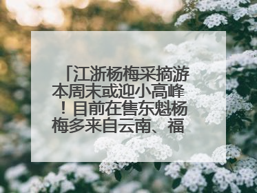 江浙杨梅采摘游本周末或迎小高峰！目前在售东魁杨梅多来自云南、福建，浙江露天东魁杨梅6月中旬大量上市