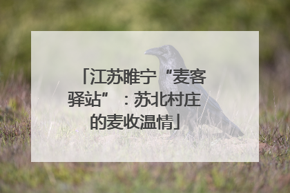 江苏睢宁“麦客驿站”：苏北村庄的麦收温情