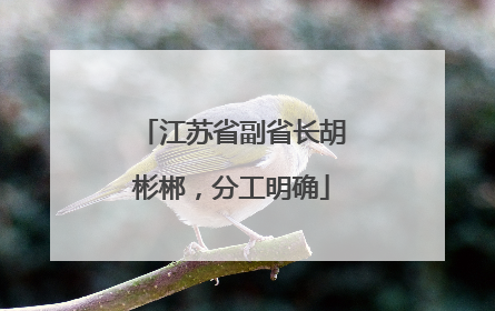 江苏省副省长胡彬郴，分工明确