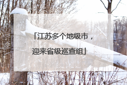 江苏多个地级市，迎来省级巡查组