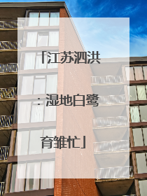 江苏泗洪：湿地白鹭育雏忙