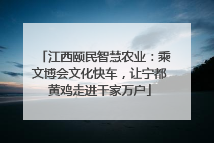 江西颐民智慧农业：乘文博会文化快车，让宁都黄鸡走进千家万户