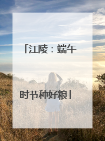 江陵：端午时节种好粮
