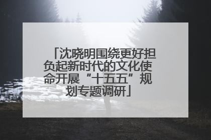 沈晓明围绕更好担负起新时代的文化使命开展“十五五”规划专题调研