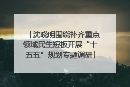 沈晓明围绕补齐重点领域民生短板开展“十五五”规划专题调研