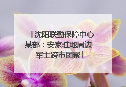 沈阳联勤保障中心某部：安家驻地周边 军士跨市团聚