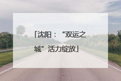 沈阳：“双运之城”活力绽放