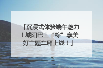 沉浸式体验端午魅力！城阳巴士“粽”享美好主题车厢上线！