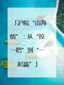 沪皖“山海情”：从“拉一把”到“一起赢”