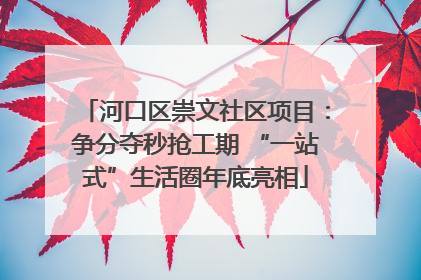 河口区崇文社区项目：争分夺秒抢工期 “一站式”生活圈年底亮相