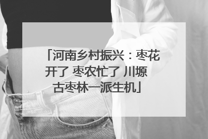 河南乡村振兴：枣花开了 枣农忙了 川塬古枣林一派生机