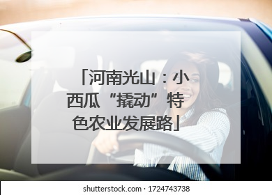 河南光山：小西瓜“撬动”特色农业发展路