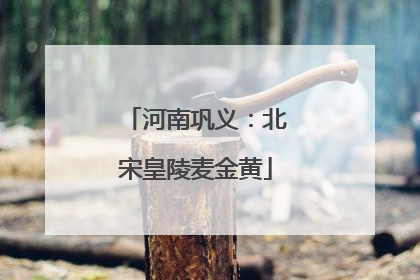 河南巩义：北宋皇陵麦金黄