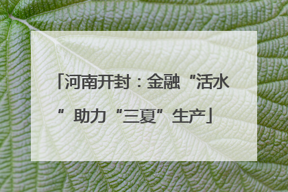 河南开封：金融“活水”助力“三夏”生产