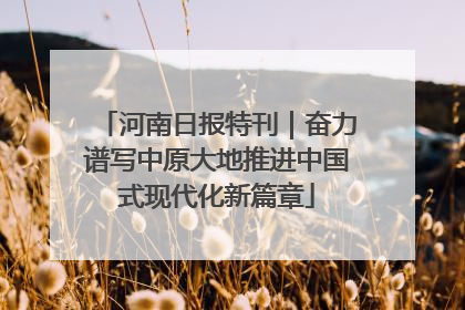 河南日报特刊｜奋力谱写中原大地推进中国式现代化新篇章