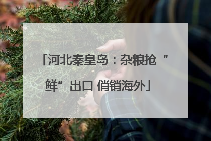 河北秦皇岛：杂粮抢“鲜”出口 俏销海外