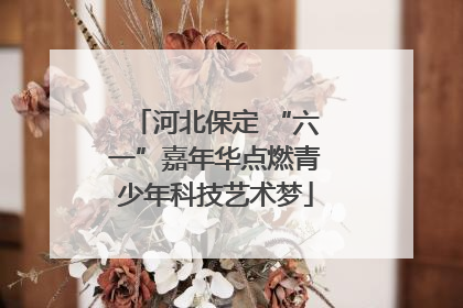 河北保定 “六一”嘉年华点燃青少年科技艺术梦