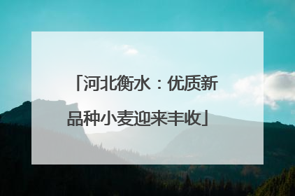 河北衡水：优质新品种小麦迎来丰收