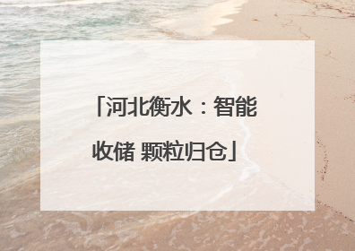 河北衡水：智能收储 颗粒归仓