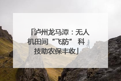 泸州龙马潭：无人机田间“飞防” 科技助农保丰收