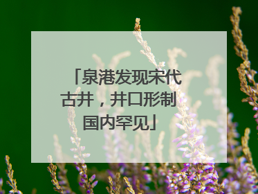 泉港发现宋代古井，井口形制国内罕见