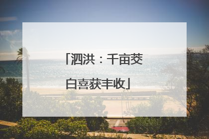 泗洪：千亩茭白喜获丰收