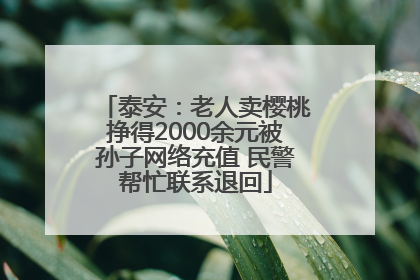 泰安：老人卖樱桃挣得2000余元被孙子网络充值 民警帮忙联系退回