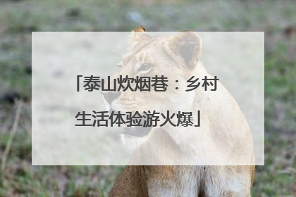 泰山炊烟巷：乡村生活体验游火爆