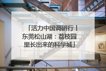 活力中国调研行丨东莞松山湖：荔枝园里长出来的科学城