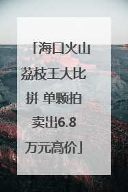 海口火山荔枝王大比拼 单颗拍卖出6.8万元高价