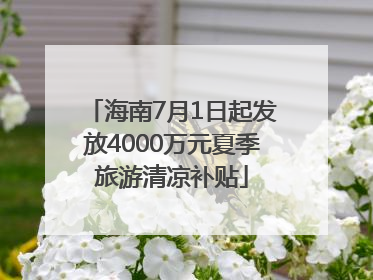 海南7月1日起发放4000万元夏季旅游清凉补贴