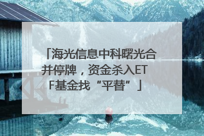 海光信息中科曙光合并停牌，资金杀入ETF基金找“平替”