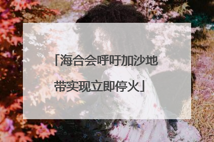 海合会呼吁加沙地带实现立即停火