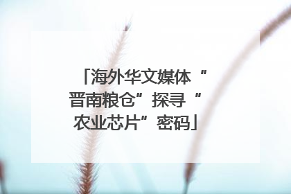 海外华文媒体“晋南粮仓”探寻“农业芯片”密码