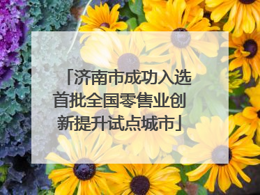 济南市成功入选首批全国零售业创新提升试点城市