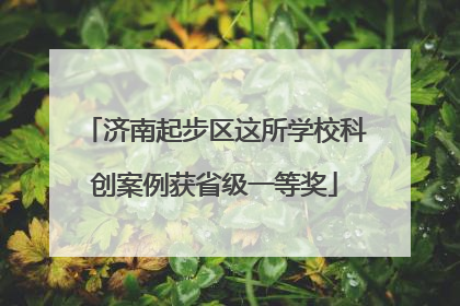 济南起步区这所学校科创案例获省级一等奖