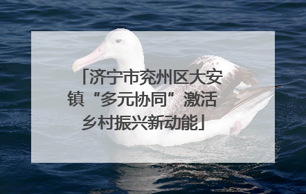 济宁市兖州区大安镇“多元协同”激活乡村振兴新动能